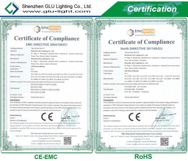 DC12V/24V high quality Neon RGB led strip , 12V/24V dot free RGB Neon led strip