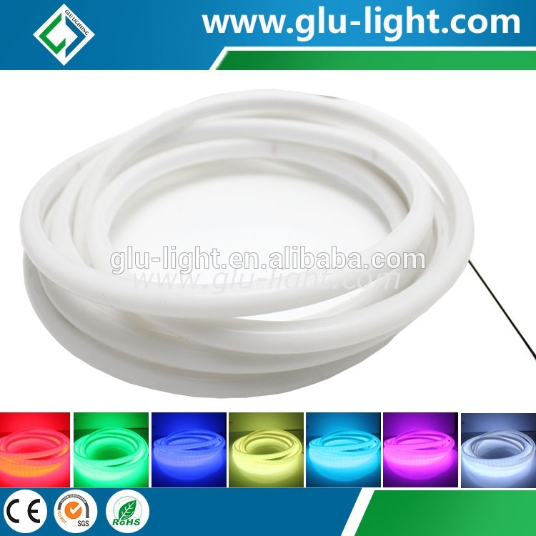 DC12V/24V high quality Neon RGB led strip , 12V/24V dot free RGB Neon led strip