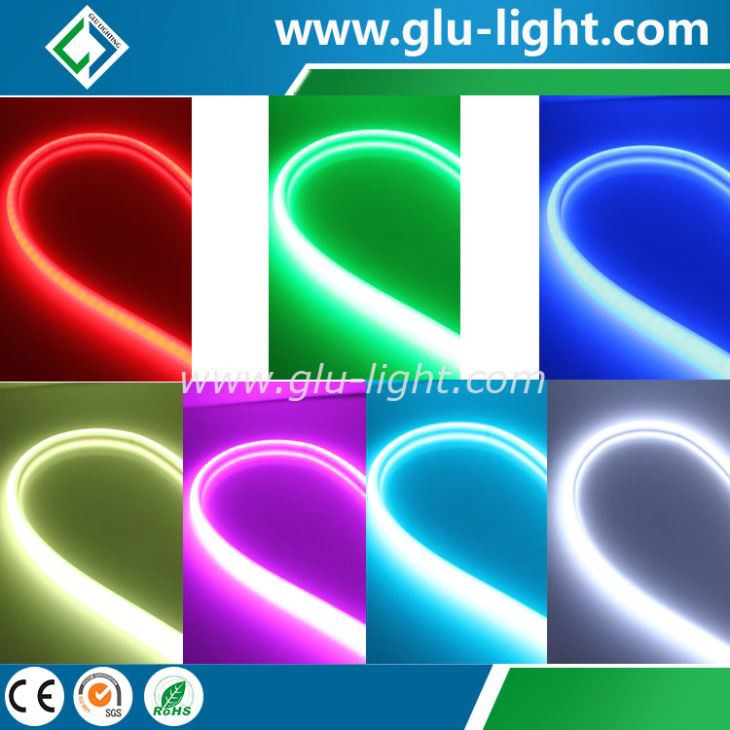 Fullfärg LED Neon Strips 5050 RGB Neon Led Strip Vattentät 60led/m 12V/24V