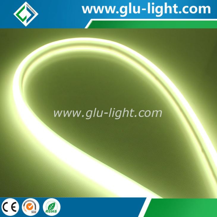 Neon RGB Led Strip 5050 Waterproof 5M 120Led/M neon Led Strip Light 